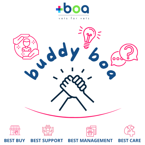 Buddy Boa (1)