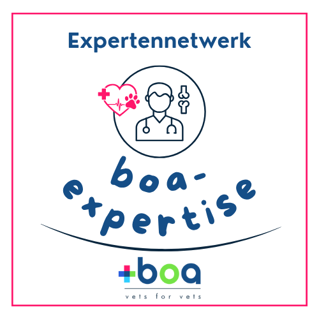 boa-expertise logo