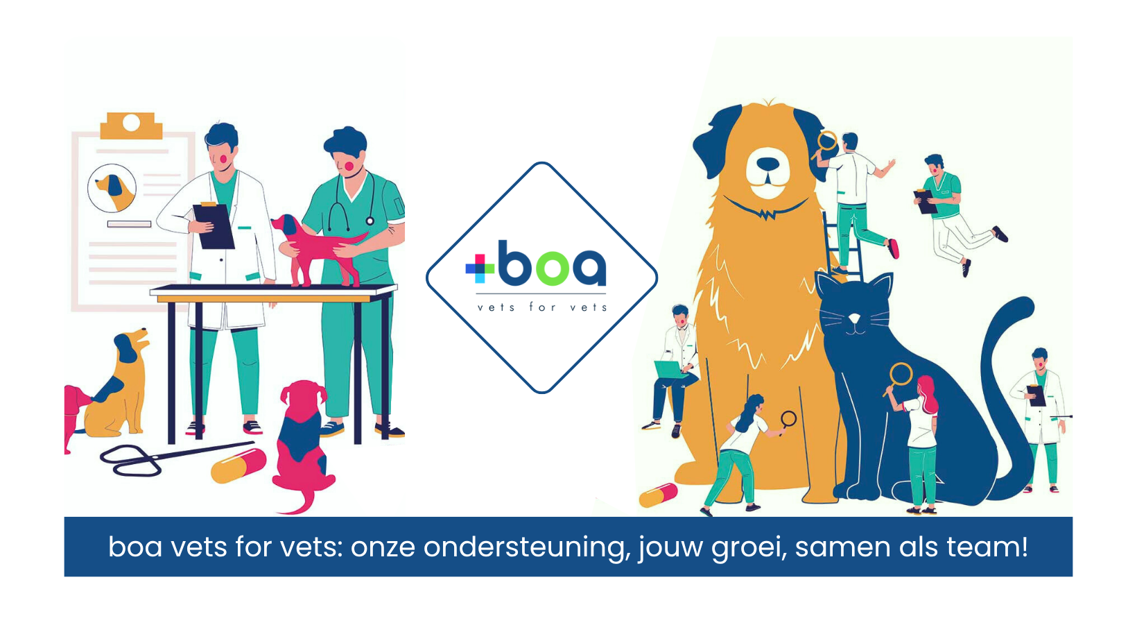 Boa Vets For Vets FB