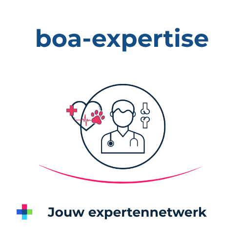 Boa Expertise Logo