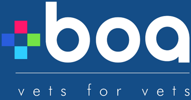 Boa Logo Bluebg
