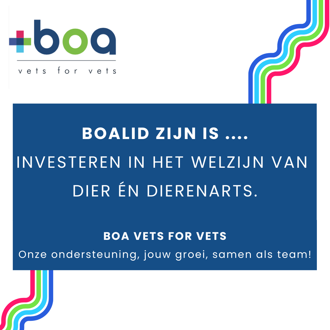 Boalid Zijn