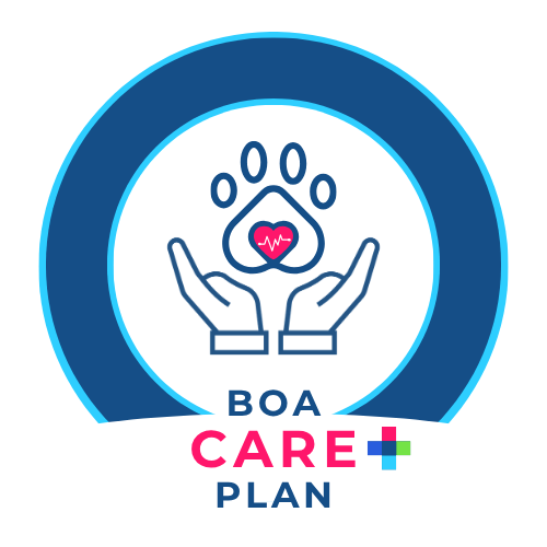 Boa Care Plan Logo