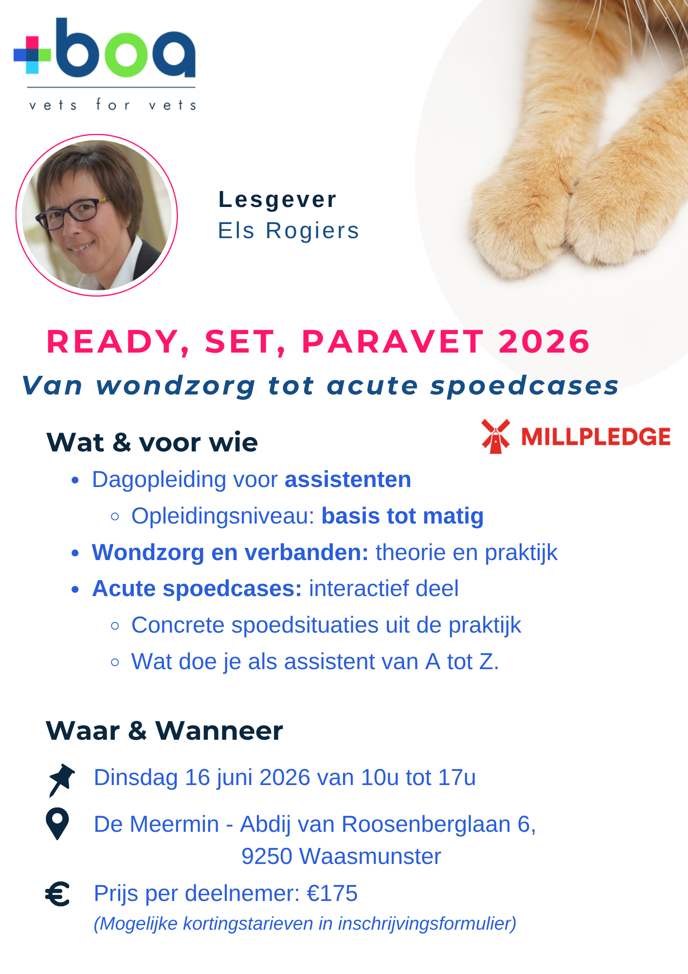 READY, SET, PARAVET 2026 A4