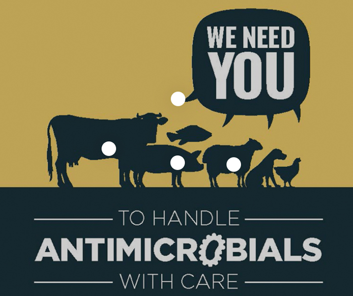 Boa Antimicrobials