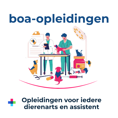 Boa Opleidingen Logo